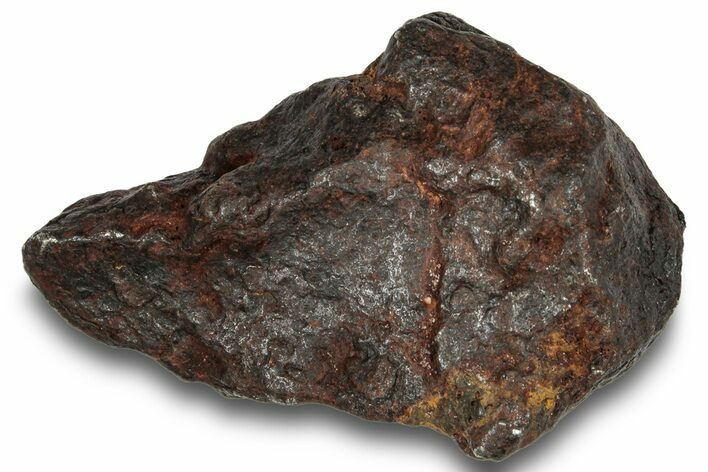 Canyon Diablo Iron Meteorite ( g) - Arizona #249941